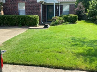 Michael D.'s lawn care services service result