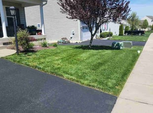 Ryan D.'s grass cutting service result