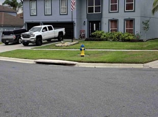Jake D.'s turf care service result