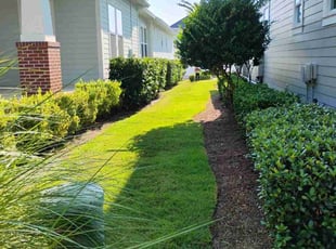 Tracey S.'s lawn maintenance service result