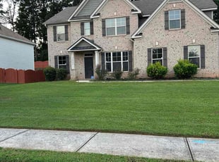 Diane T.'s lawn care service result