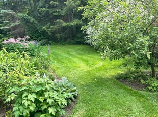 Nicholi W.'s grass maintenance service result