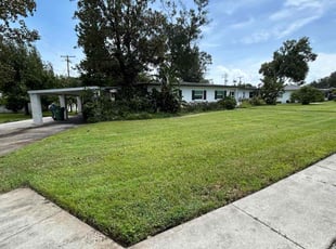 Mark K.'s turf maintenance service result