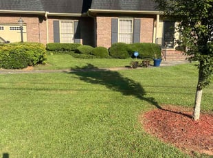 Barbara Z.'s Bush Trimming service result
