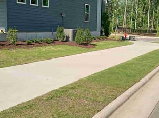 Ayanna C.'s grass cutting service result