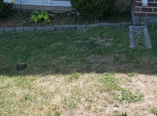 Travis E.'s Bush Trimming service result