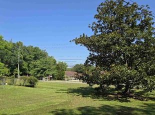 Jack R.'s grass cutting service result