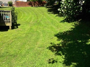 Keith R.'s lawn service service result