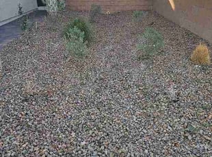 Joseph Q.'s Weeding service result