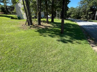 Ashley F.'s turf care service result
