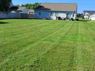 Chris S.'s lawn care services service result