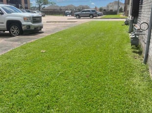 Randall B.'s lawn care service result