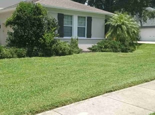 Scott D.'s Flower Bed Weeding service result