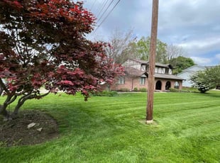 Carla L.'s lawn care service result