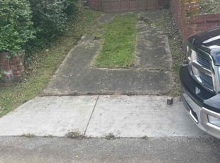 Mary S.'s grass cutting service result