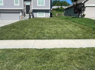 Michael J.'s grass maintenance service result