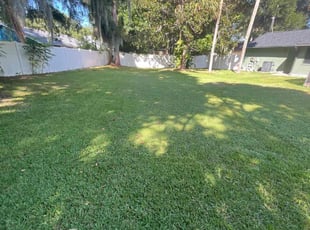 Monte F.'s lawn service service result