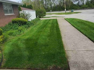 Kimberly C.'s lawn maintenance service result