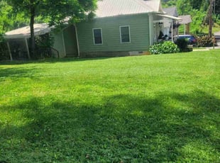 Shawn P.'s turf maintenance service result