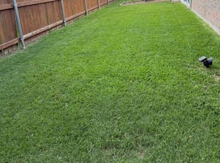 Natalie D.'s lawn care services service result