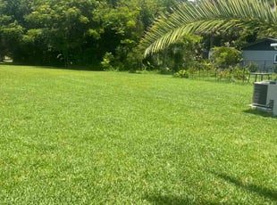 Barbara K.'s grass maintenance service result