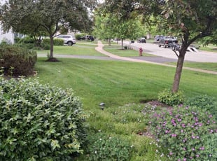 Carl C.'s lawn care services service result