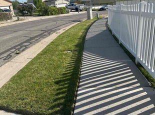 Jeanette K.'s lawn care services service result
