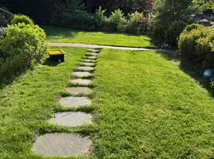 Rhonda K.'s lawn care services service result