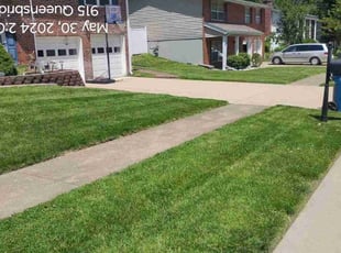 Shawndra D.'s turf maintenance service result