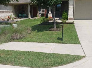 Jasmine H.'s lawn service service result