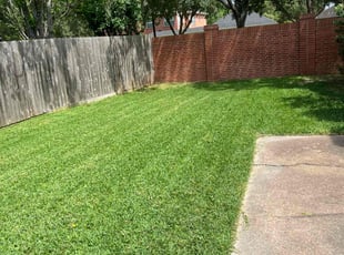 Courtney B.'s lawn care service result