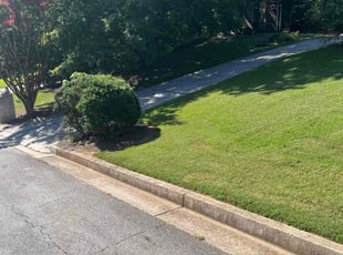 Craig T.'s lawn maintenance service result