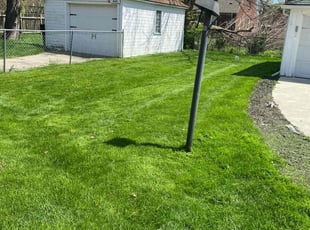 Tony B.'s lawn service service result