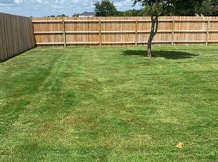 Doug M.'s lawn maintenance service result