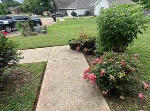 Sonya K.'s landscaping service result