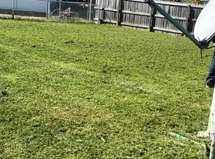 Vanessa D.'s lawn care services service result