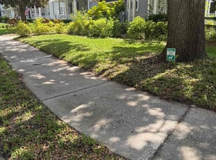 Jeffery T.'s grass cutting service result