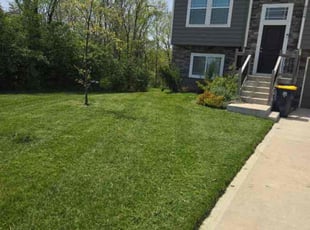 Ralph V.'s gardening service service result