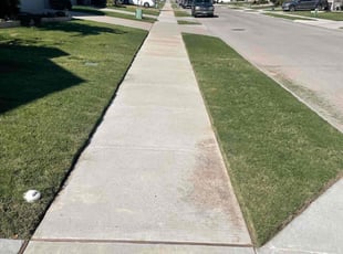 Patricia W.'s lawn care service result