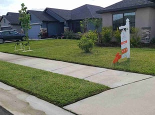 Jordan T.'s lawn care service result