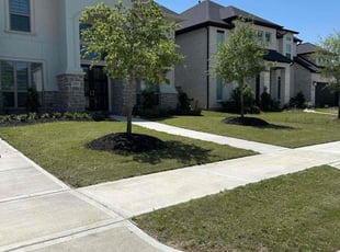 Nico S.'s lawn maintenance service result
