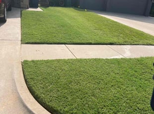 Benjamin K.'s turf care service result