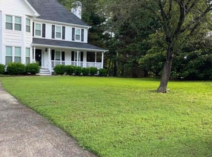 Michael M.'s lawn maintenance service result