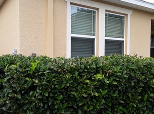 Gary B.'s Bush Trimming service result