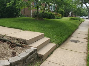 Susan B.'s lawn service service result