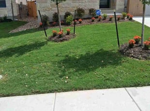 Pat C.'s lawn care services service result