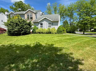 Stephanie C.'s grass cutting service result