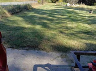 Joy M.'s grass maintenance service result
