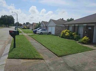 Muner M.'s lawn care services service result