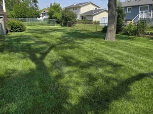 Vicki R.'s lawn maintenance service result